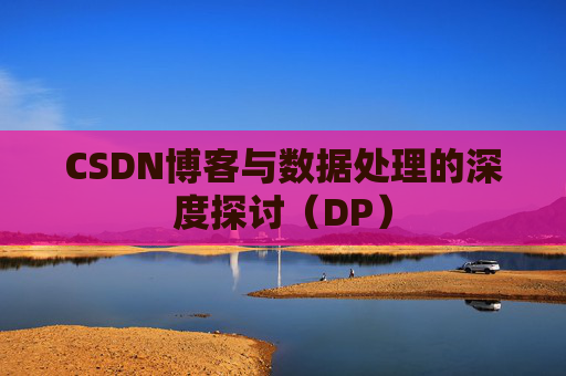 CSDN博客与数据处理的深度探讨（DP）